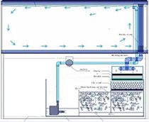 Hệ thống lọc cho bể cá rồng
