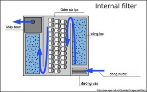 Cách làm bể lọc nước giếng khoan đơn giản hiệu quả tại nhà