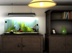 Đặt bể cá cảnh theo phong thủy