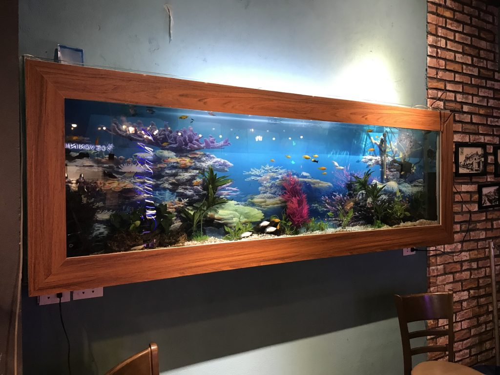 Bể cá treo tường đẹp nhất