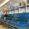 Bể hải sản đẹp Hà Nội