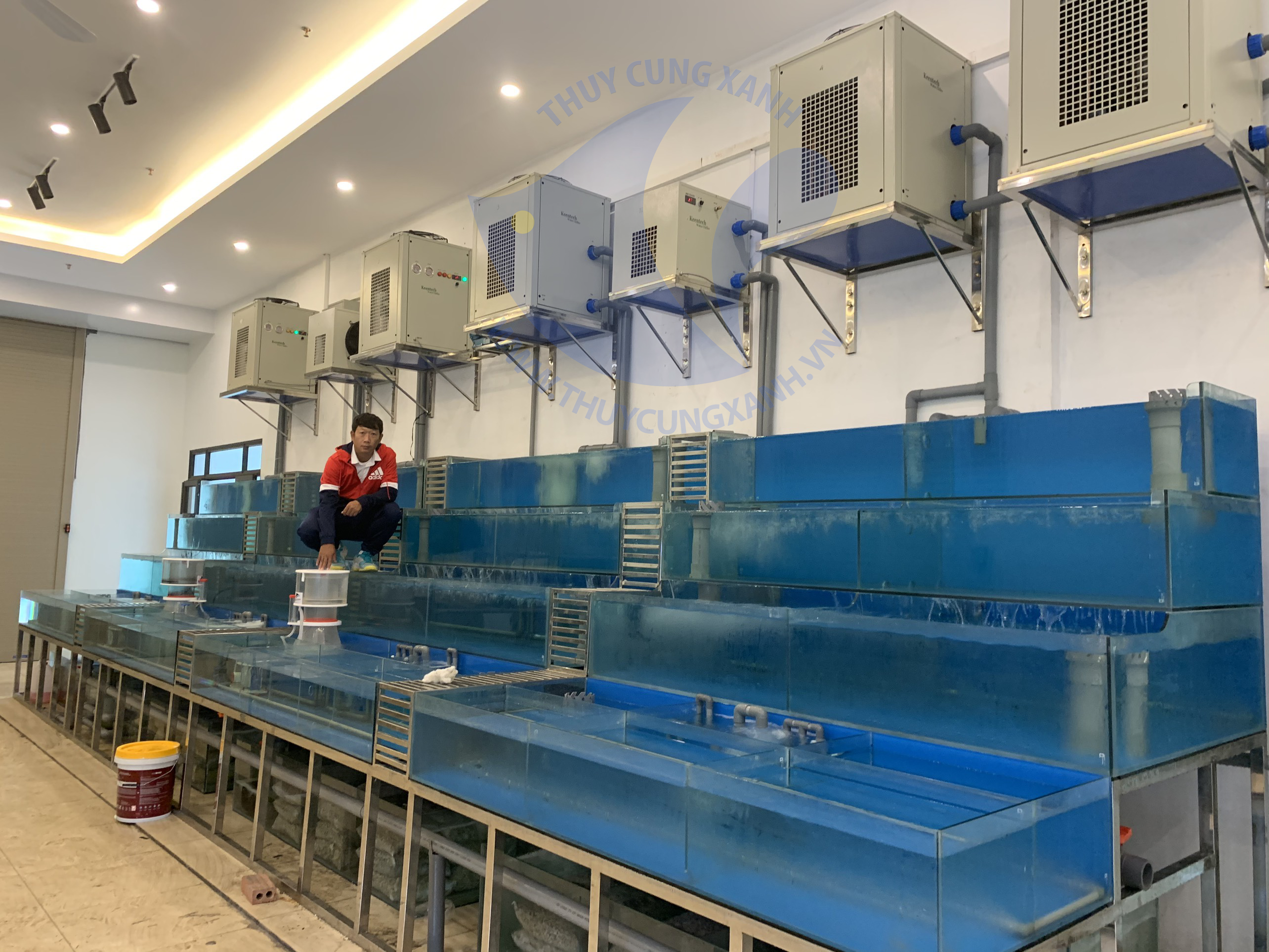 Bể hải sản đẹp Hà Nội