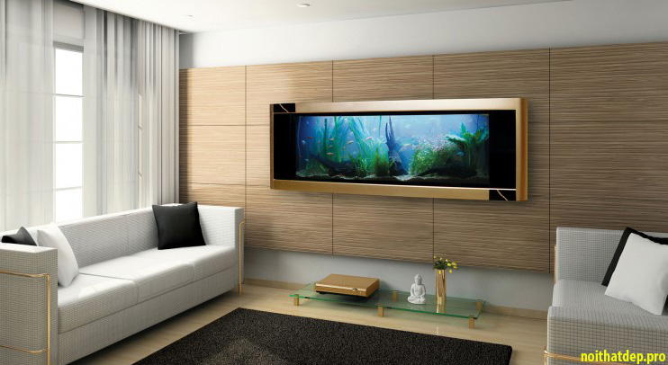 Bể cá cảnh phong thủy