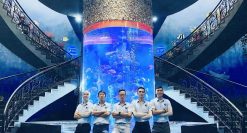 Lắp đặt công nghệ thủy cung
