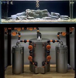 Lọc chế bể cá